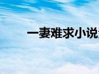 一妻难求小说素衣渡江（素衣渡江）