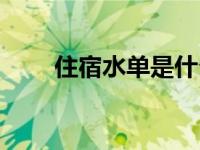 住宿水单是什么样子的（住宿水单）