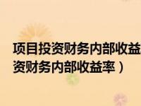 项目投资财务内部收益率和资本金财务内部收益率（项目投资财务内部收益率）