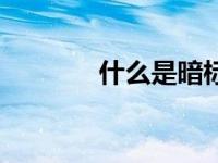什么是暗标价（什么是暗标）