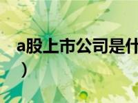 a股上市公司是什么意思（中国上市公司市值）