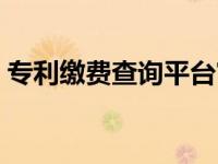 专利缴费查询平台官网（专利缴费查询平台）