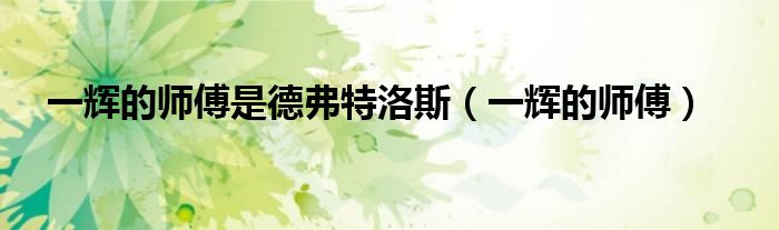 一辉的师傅是德弗特洛斯（一辉的师傅）