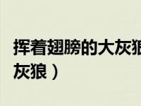 挥着翅膀的大灰狼的小说顾烟（挥着翅膀的大灰狼）