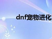 dnf宠物进化大全（dnf宠物进化）