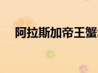 阿拉斯加帝王蟹怎么吃（帝王蟹怎么吃）