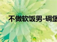 不做软饭男-碉堡rghh所著网络小说简介