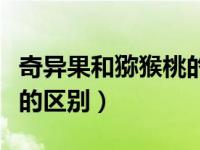 奇异果和猕猴桃的区别图片（奇异果和猕猴桃的区别）