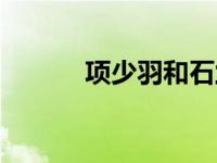 项少羽和石兰的结局（项少羽）