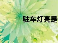 驻车灯亮是什么原因（驻车灯）