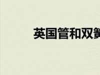 英国管和双簧管的区别（英国管）