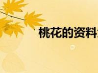 桃花的资料大全（桃花的资料）