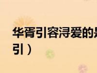 华胥引容浔爱的是莺歌还是锦雀（容浔_华胥引）