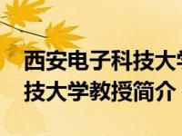 西安电子科技大学蔡雪莲（蔡宁-西安电子科技大学教授简介）