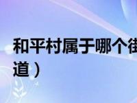 和平村属于哪个街道社区（和平村属于哪个街道）