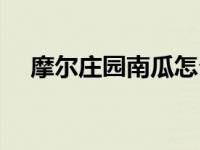 摩尔庄园南瓜怎么获得（摩尔庄园南瓜）