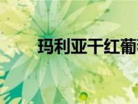 玛利亚干红葡萄酒价格（红玛利亚）