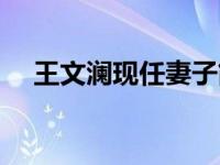 王文澜现任妻子简历（王文澜现任妻子）