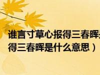 谁言寸草心报得三春晖是什么意思的短视频（谁言寸草心 报得三春晖是什么意思）