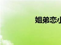 姐弟恋小说（姐弟性交）