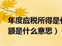 年度应税所得是什么意思?（年度应纳税所得额是什么意思）