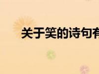 关于笑的诗句有哪些（关于笑的诗句）