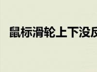 鼠标滑轮上下没反应（鼠标滑轮上下乱动）