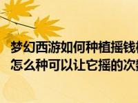 梦幻西游如何种植摇钱树苗（梦幻西游种摇钱树有什么技巧 怎么种可以让它摇的次数多）