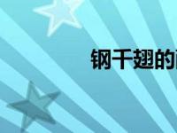 钢千翅的配音员（钢千翅）