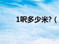 1呎多少米?（一呎等于多少平方米）