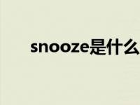 snooze是什么意思（SN是什么意思）