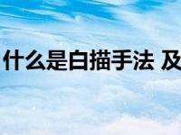 什么是白描手法 及其作用（什么是白描手法）