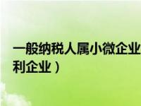 一般纳税人属小微企业名单吗（一般纳税人是否属于小型微利企业）