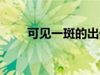 可见一斑的出处是哪里（可见一斑）