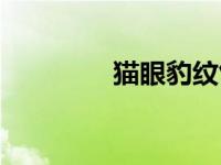 猫眼豹纹竹芋（豹纹竹芋）