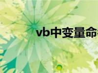 vb中变量命名（vb程序变量名）