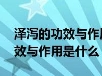 泽泻的功效与作用及禁忌 有哪些（泽泻的功效与作用是什么）