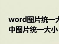 word图片统一大小并对齐怎么设置（word中图片统一大小）