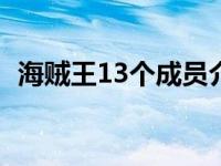 海贼王13个成员介绍（弗兰奇第几集加入）