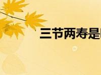 三节两寿是哪三节（三节两寿）