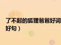 了不起的狐狸爸爸好词好句读后感（了不起的狐狸爸爸好词好句）