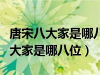 唐宋八大家是哪八位为什么没有李白（唐宋八大家是哪八位）