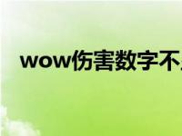 wow伤害数字不显示了（wow伤害数字）