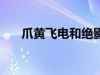 爪黄飞电和绝影哪个厉害（爪黄飞电）