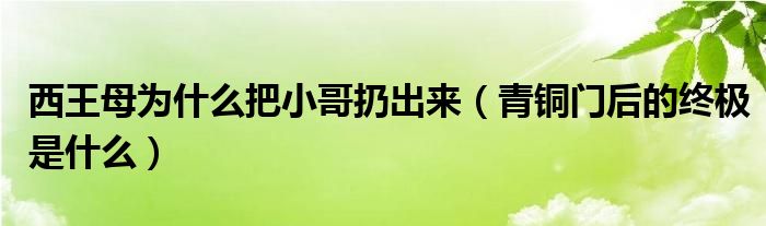 西王母为什么把小哥扔出来（青铜门后的终极是什么）