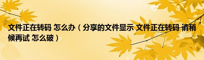 文件正在转码 怎么办（分享的文件显示 文件正在转码 请稍候再试 怎么破）