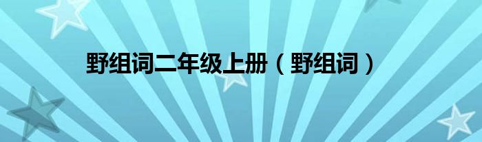 野组词二年级上册（野组词）