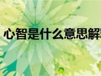 心智是什么意思解释一下（心智是什么意思）