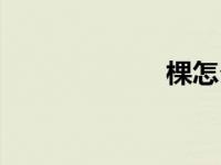 棵怎么组词（棵）