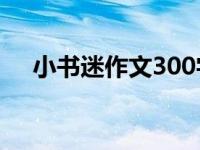 小书迷作文300字三年级（小书迷作文）